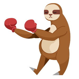 Sloth with boxing gloves