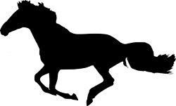 Silhouette of a horse running