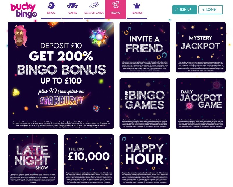 Screenshot of the promotions offered at Bucky Bingo