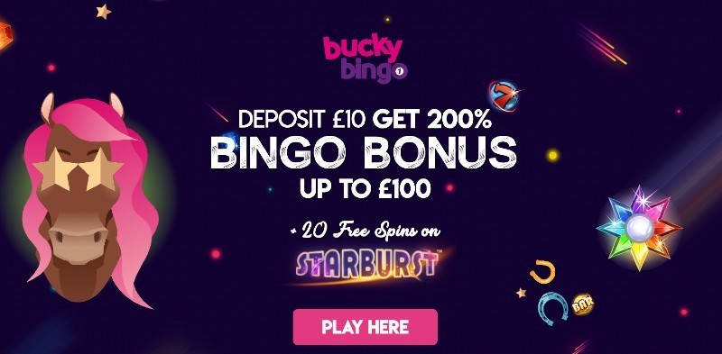 Bucky Bingo welcome bonus offer
