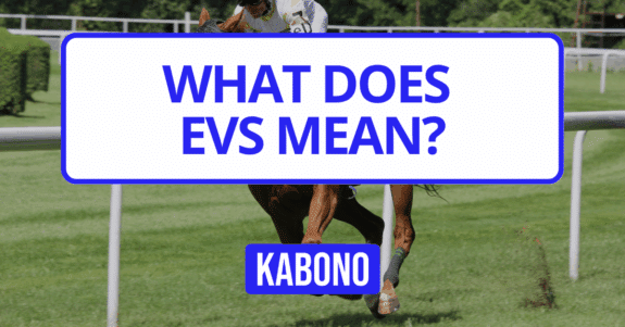 Image with the text "What does EVS mean?"