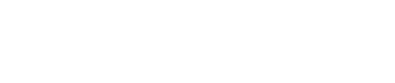 White SkillOnNet logo