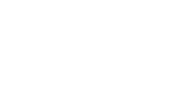 Play'n GO's logo in white