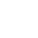 Free spin icon